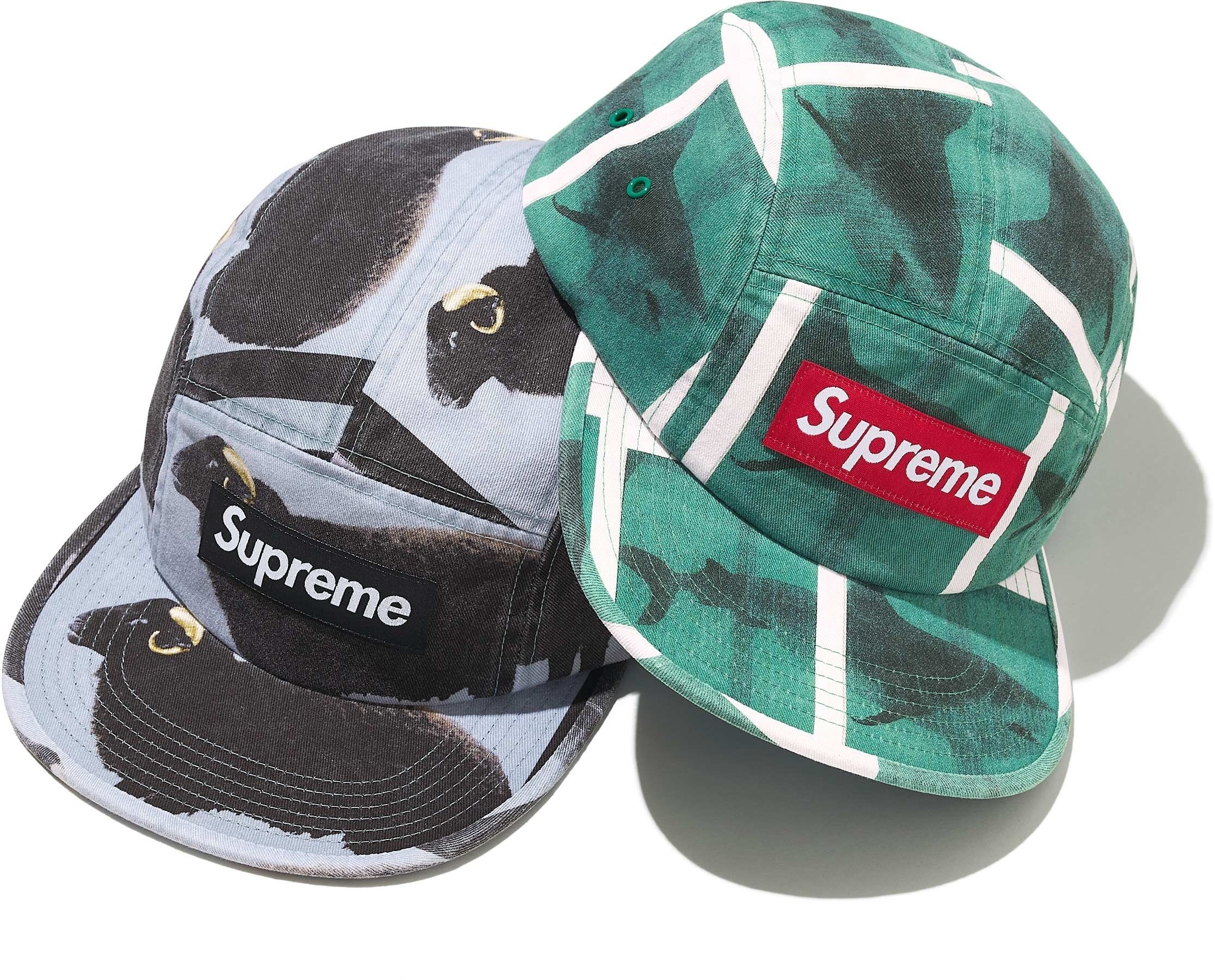 Supreme/Damien Hirst Camp Cap